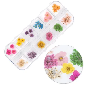 Suszone kwiaty do zdobień paznokci w kasetce Molly Nails rodzaj B 36szt