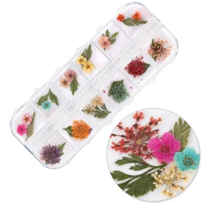 Suszone kwiaty do zdobień paznokci w kasetce Molly Nails rodzaj E 36szt