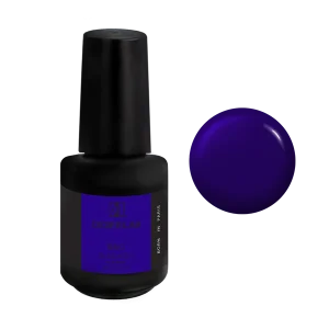 BBIO Żel budujący w butelce "Didier Lab", Blue Berry, 15ml
